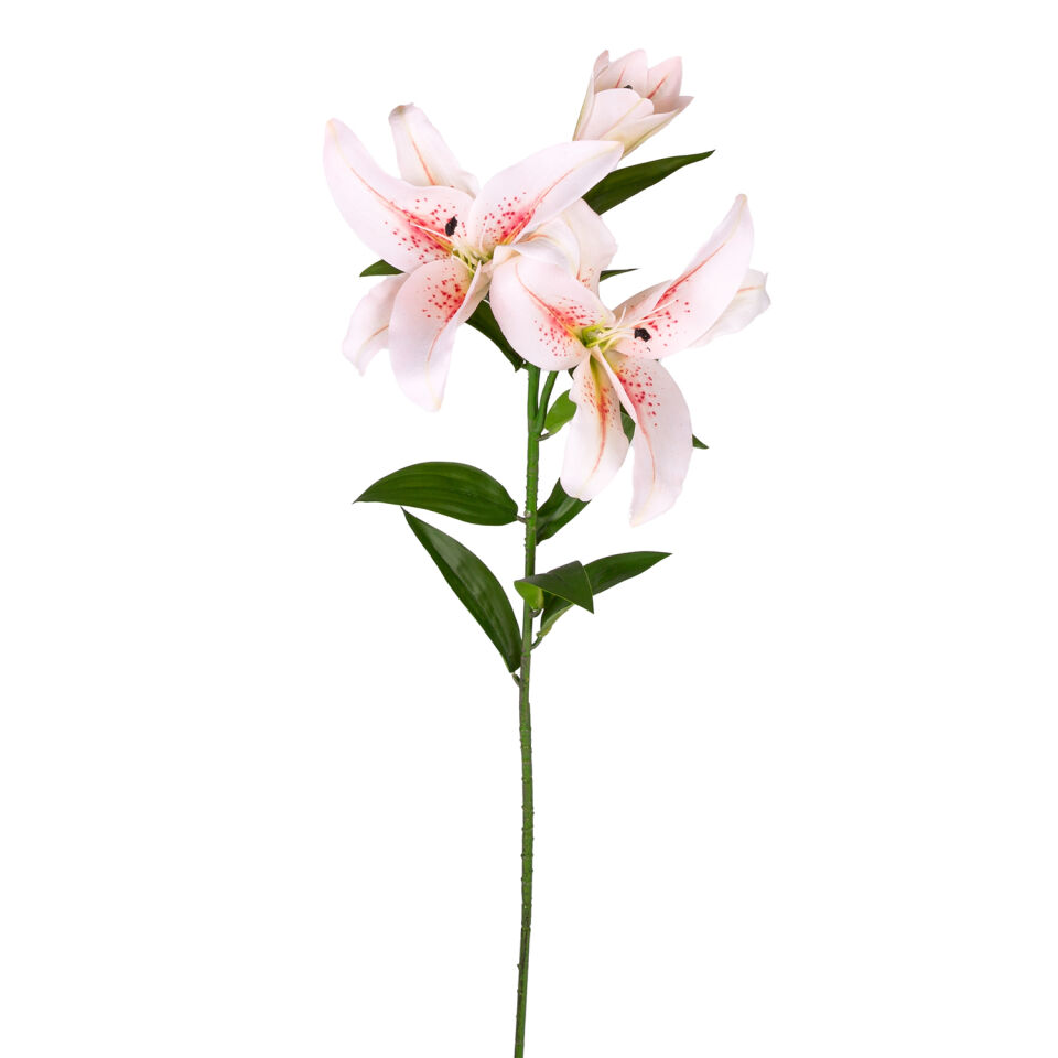 Yapay Çiçek, Zambak, Fuşya-Beyaz - 85 cm