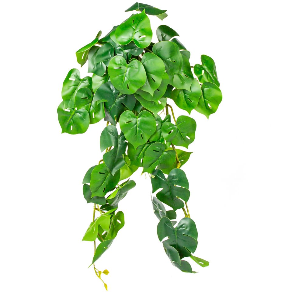 Yapay Sarmaşık, Deve Tabanı/Philo - 75 cm