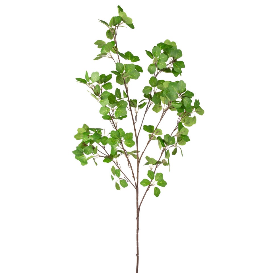 Yapay Okaliptüs Dalı, Açık Yeşil - 103 cm