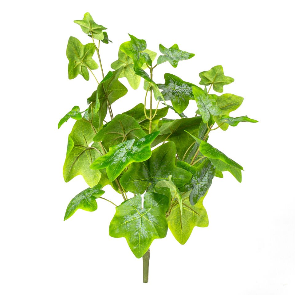 Yapay Bitki, Hedera, Yeşil - 50 cm