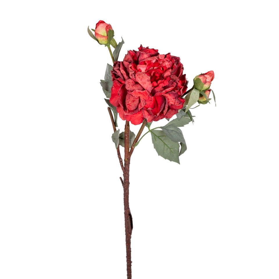 Yapay Çiçek, Şakayık, Kurumuş Efektli, Kırmızı - 60 cm