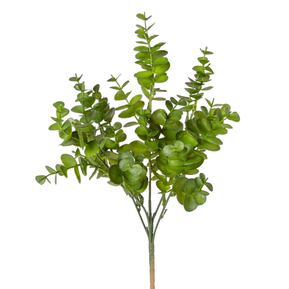 Yapay Bitki, Okaliptus, Koyu Yeşil - 40 cm