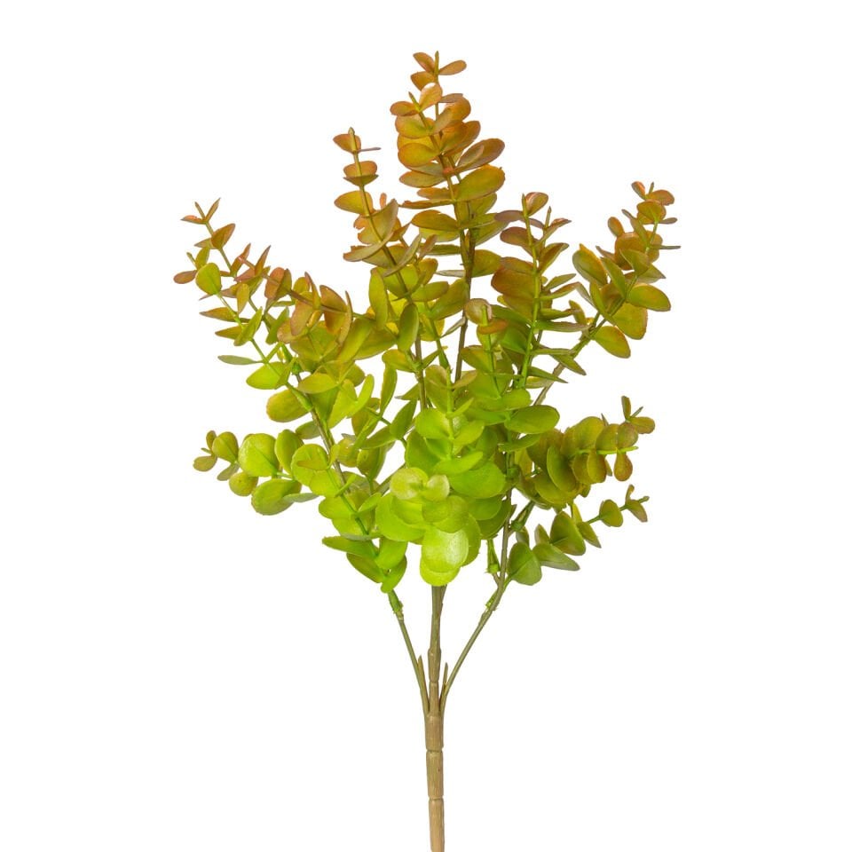 Yapay Bitki, Okaliptus, Kızıl-Yeşil - 40 cm