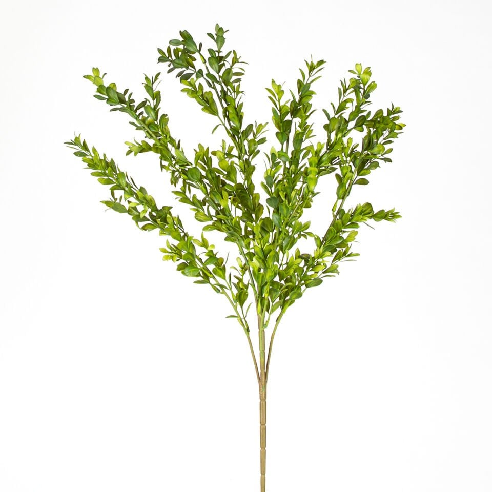 Yapay Bitki, Şimşir, Yeşil - 55 cm