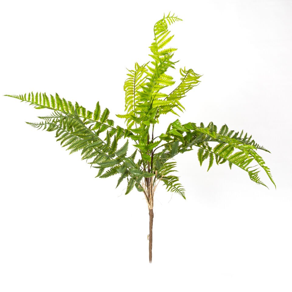 Yapay Bitki, Fujer/Eğrelti Otu, Yeşil - 75 cm