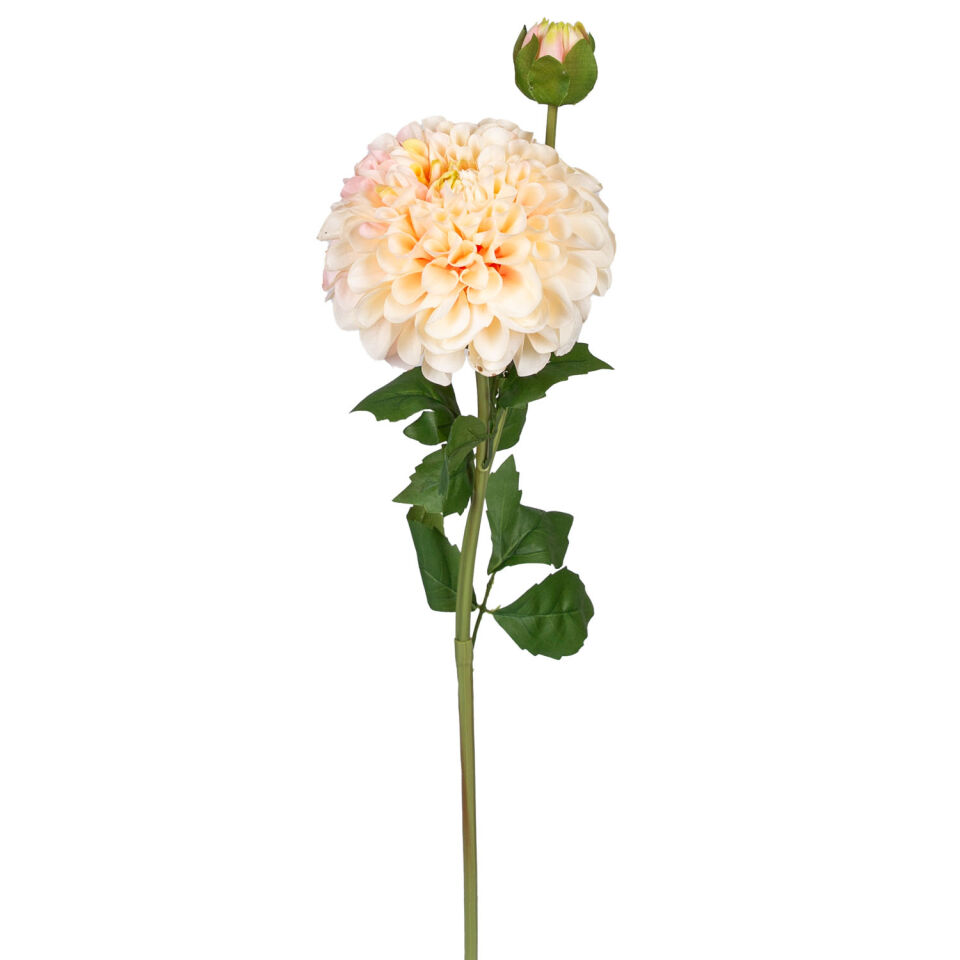 Yapay Yıldız Çiçeği Pompon Dahlia Islak Dokulu Pembe-Krem 16x60 Cm.